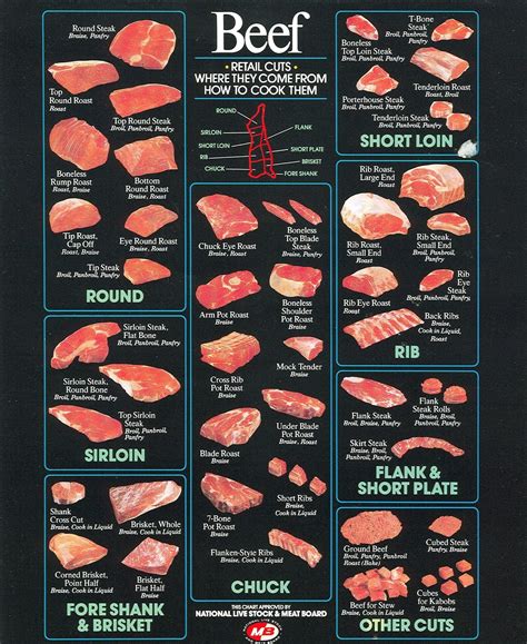 Printable Beef Cuts Chart Poster